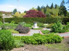 physic garden.jpg