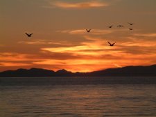 Davis Bay Sunset.jpg