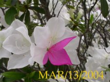 DSCN3743.JPG