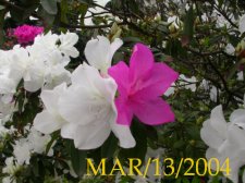 DSCN3733.JPG