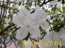 DSCN3735.JPG