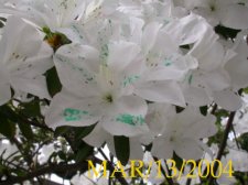 DSCN3736.JPG