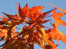 DSC00318.JPG