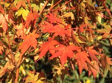 DSC00328.JPG