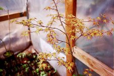 IMG03.JPG