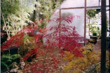 IMG07.JPG