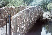 IMG13 copy.jpg
