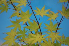 28_may_2006 001.jpg