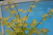 28_may_2006 002.jpg