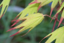 IMG_2151.JPG
