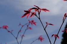 P1100166.jpg