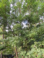 DSCN6255.jpg