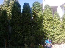Фотографија0269.jpg