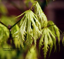 8598868058_5e0b2a8679_o[1].jpg
