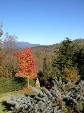 IMG_1929.jpg