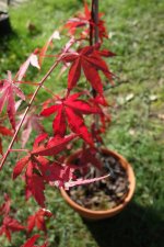 DSC01314.jpg