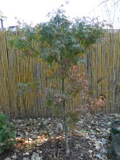 DSCN3271.jpg