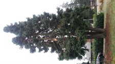 20131209_085900.jpg