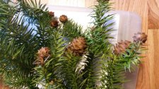 20131213_103539.jpg