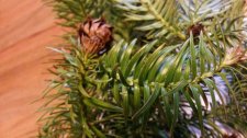20131213_103602.jpg