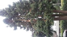 20131209_085844.jpg