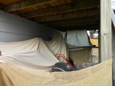 Under-Deck Trees1.jpg