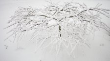 IMG_4854.jpg