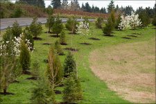 Field_600.jpg