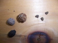 100_3894.jpg