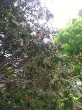 20140601_181130.jpg