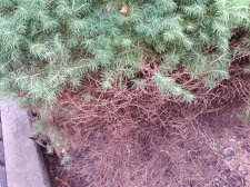 IMG_20140614_154230.jpg