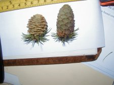 P1010005.JPG
