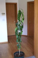 july14_030.jpg