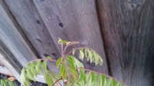 20150305_180947.jpg