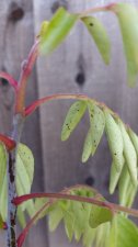 20150228_130051.jpg