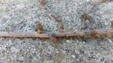 20150228_130415.jpg
