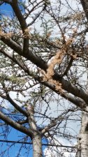20150228_130136.jpg