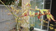 DSC03099.jpg