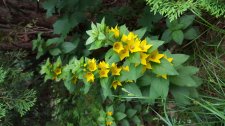 20150611_194527.jpg