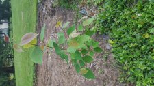 20150610_192125.jpg