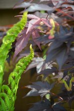 6_4 Garden 016.jpg