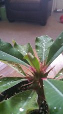 20151020_104816.jpg