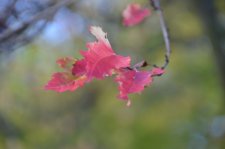 151013_55774_resize.JPG