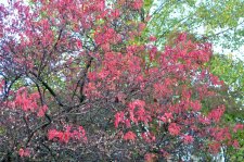 151013_55782_resize.JPG