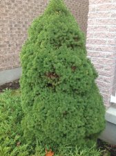 IMG_0103.jpg
