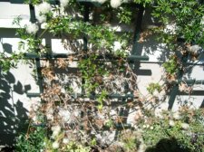 IMG_0197.JPG