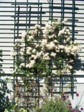 IMG_0199.JPG