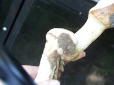 100_0148.jpg