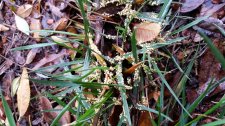 20160117_104819.jpg