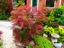P5291806a.png